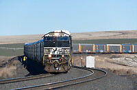 Click Here to see the photo!