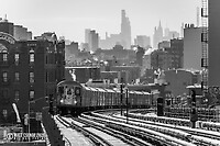 Click Here to see the photo!