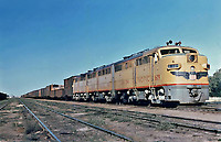 Click Here to see the photo!