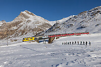 Click Here to see the photo!