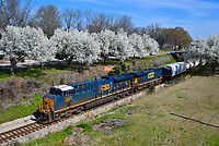 Click Here to see the photo!