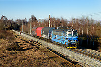 Click Here to see the photo!