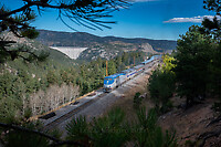 Click Here to see the photo!