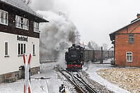 Click Here to see the photo!