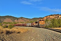 Click Here to see the photo!