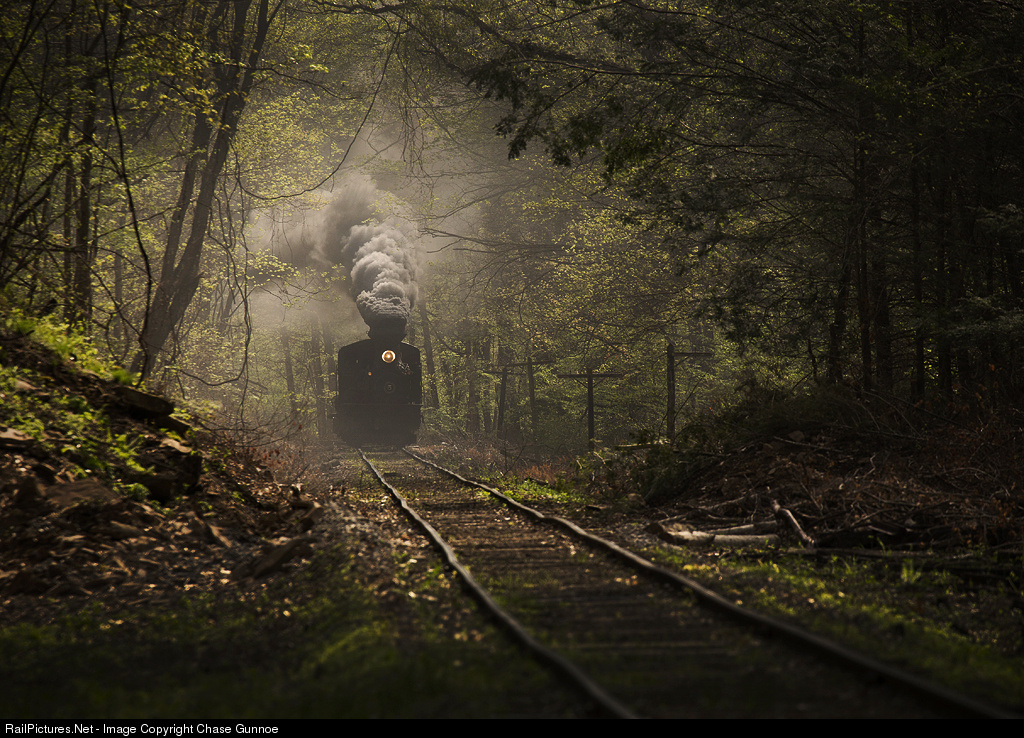 Загадочный поезд. Cass Scenic Railroad. Поезд-призрак «Санетти». Поезд в лесу. Железная дорога в лесу.