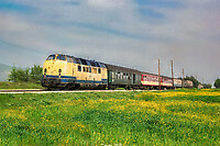 Click Here to see the photo!