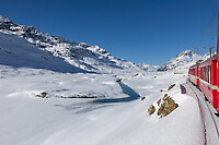 Click Here to see the photo!