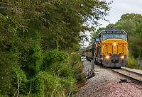 Click Here to see the photo!