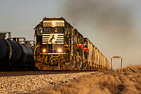 Click Here to see the photo!