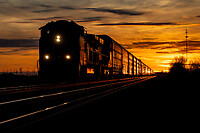 Click Here to see the photo!