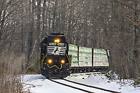 Click Here to see the photo!