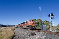 Click Here to see the photo!