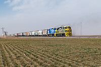 Click Here to see the photo!