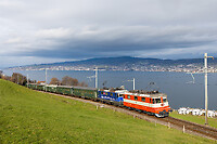 Click Here to see the photo!