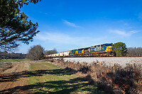 Click Here to see the photo!