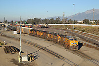 Click Here to see the photo!