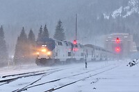 Click Here to see the photo!