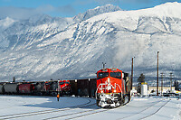 Click Here to see the photo!