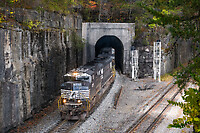 Click Here to see the photo!