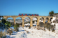 Click Here to see the photo!