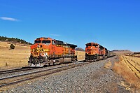 Click Here to see the photo!