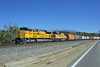 Click Here to see the photo!