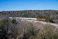 Click Here to see the photo!