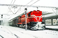 Click Here to see the photo!