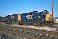 Click Here to see the photo!