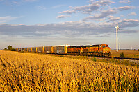 Click Here to see the photo!