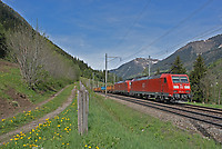 Click Here to see the photo!