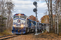 Click Here to see the photo!