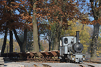 Click Here to see the photo!