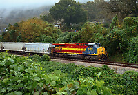 Click Here to see the photo!