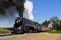 Click Here to see the photo!