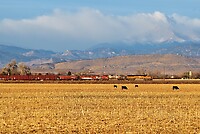 Click Here to see the photo!