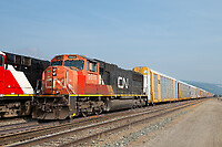 Click Here to see the photo!