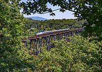 Click Here to see the photo!