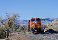 Click Here to see the photo!