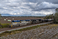 Click Here to see the photo!