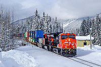 Click Here to see the photo!