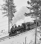 Click Here to see the photo!