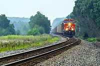 Click Here to see the photo!