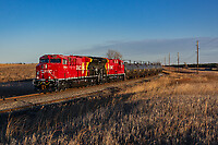 Click Here to see the photo!