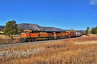 Click Here to see the photo!