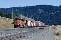 Click Here to see the photo!