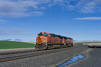 Click Here to see the photo!