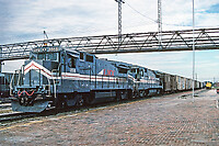 Click Here to see the photo!