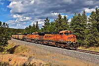 Click Here to see the photo!